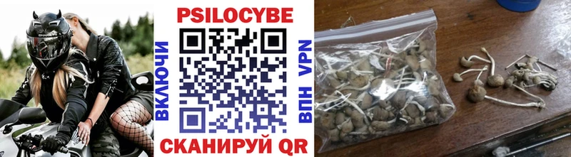 Галлюциногенные грибы прущие грибы  Киселёвск 